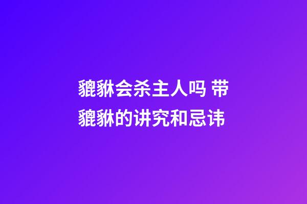 貔貅会杀主人吗 带貔貅的讲究和忌讳